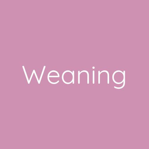 Children's weaning items