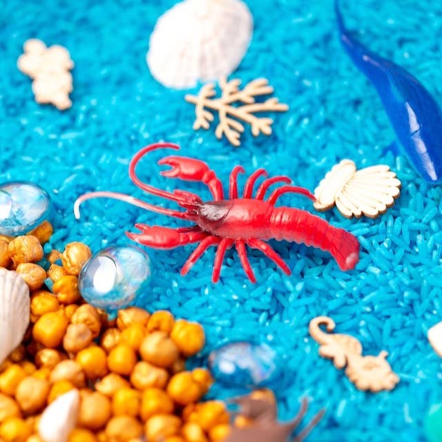 Under the Sea Sensory Kit-Sensory Kit-Second Snuggle Preloved