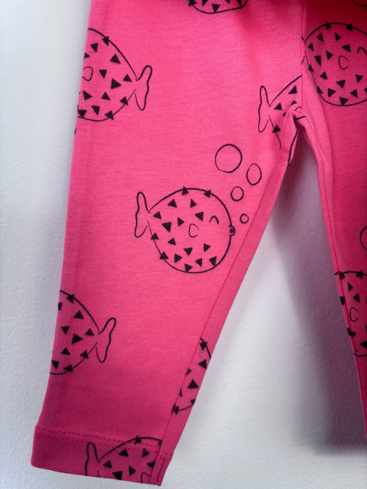 Finding Fugu 2 Pack Leggings-Leggings-Second Snuggle Preloved