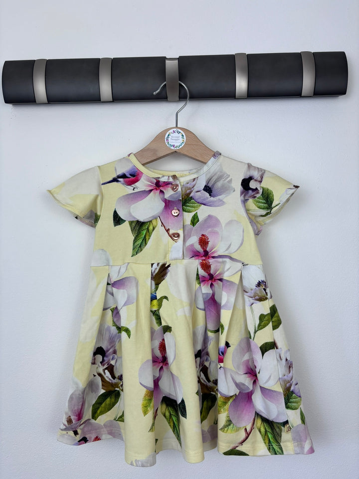 Ted Baker 6-9 Months-Dresses-Second Snuggle Preloved