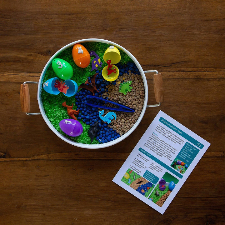 Dinosaur Sensory Kit-Sensory Kit-Second Snuggle Preloved