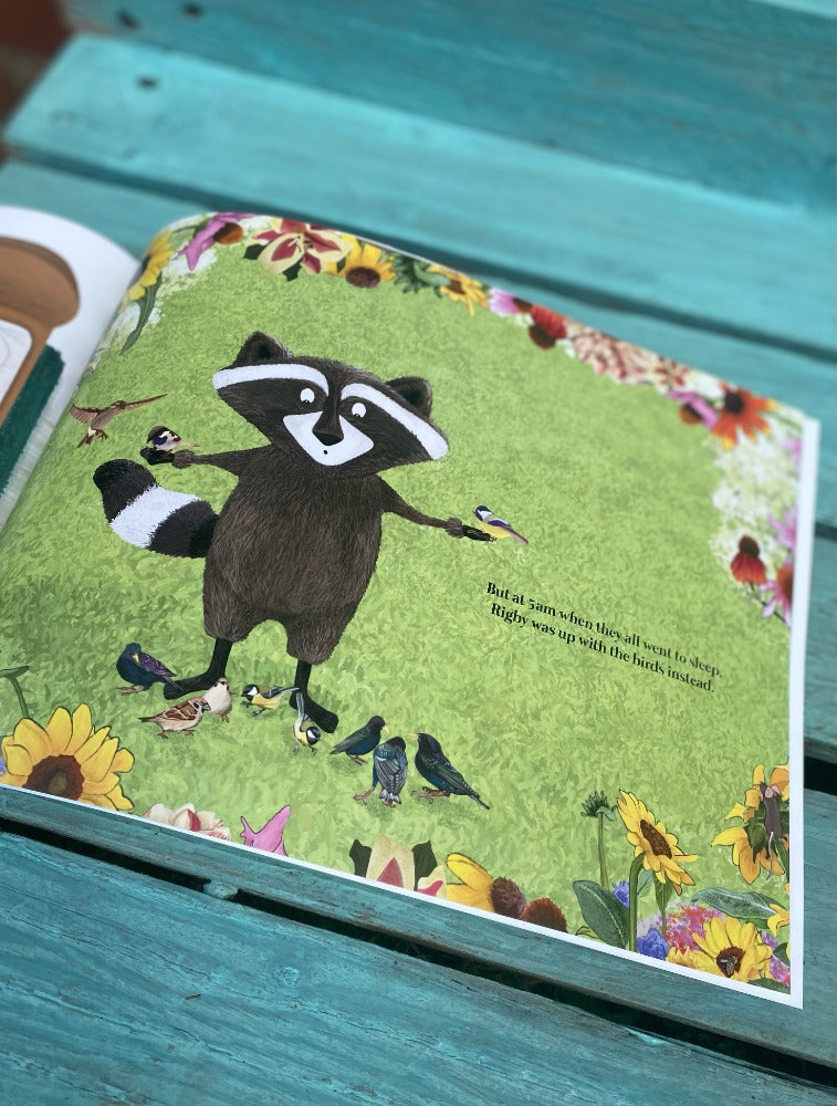 Rigby Raccoon - King Of The Macaroon-Books-Second Snuggle Preloved