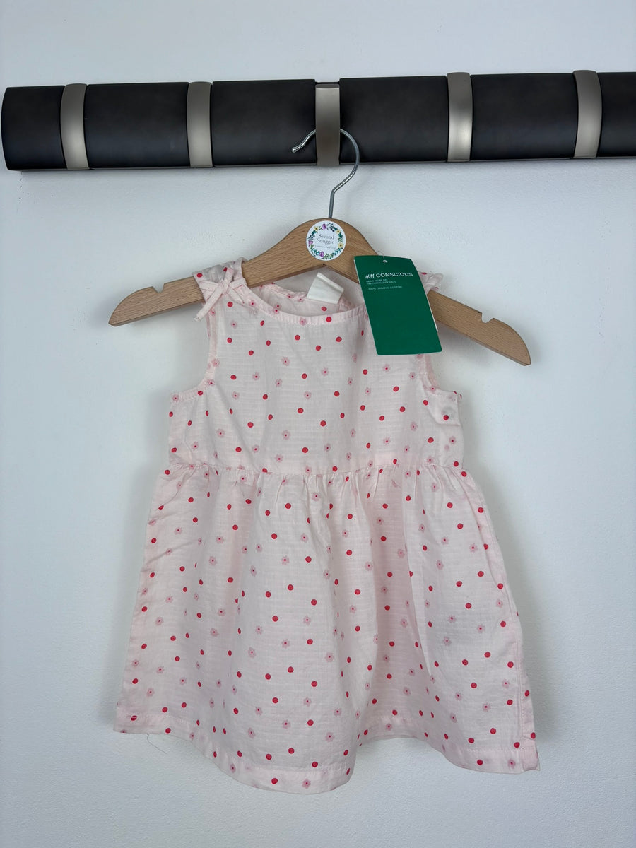 H&M 4-6 Months-Dresses-Second Snuggle Preloved