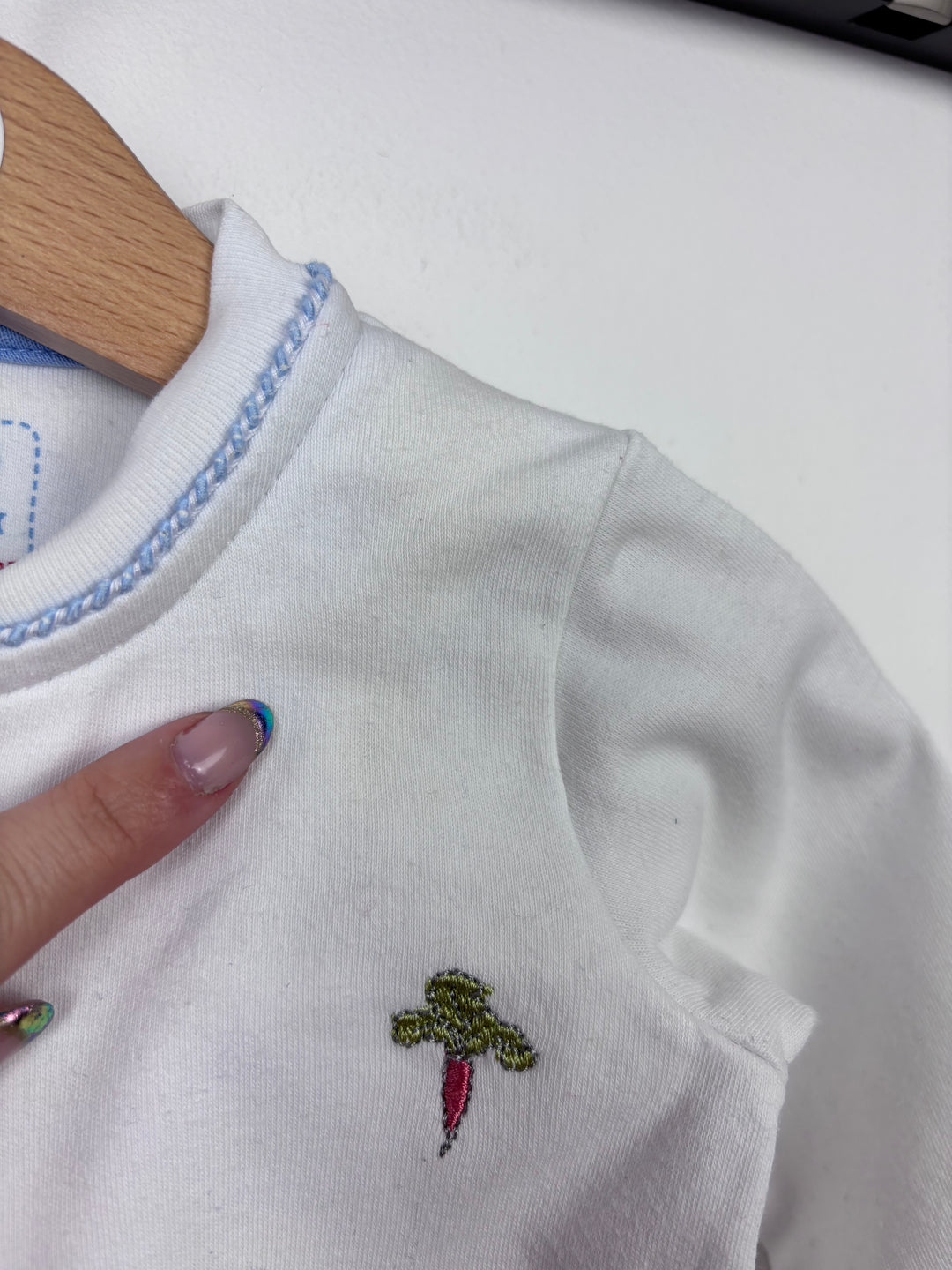 JoJo Maman Bebe Peter Rabbit Sleepsuit 3-6 Months-Sleepsuits-Second Snuggle Preloved