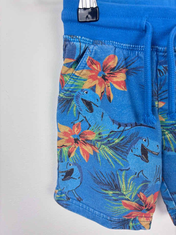 Next Dinosaur Shorts 3-4 Years-Shorts-Second Snuggle Preloved