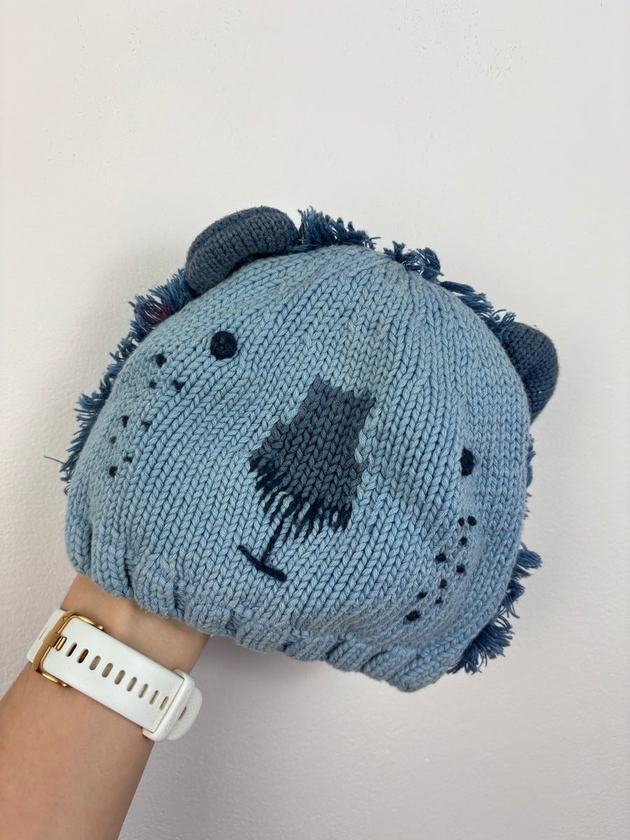 Next 12-18 Months-Hats-Second Snuggle Preloved