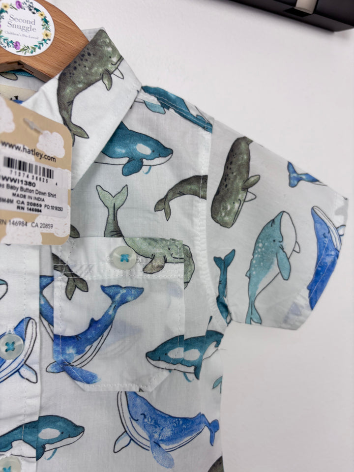 Hatley 6-9 Months-Shirts-Second Snuggle Preloved