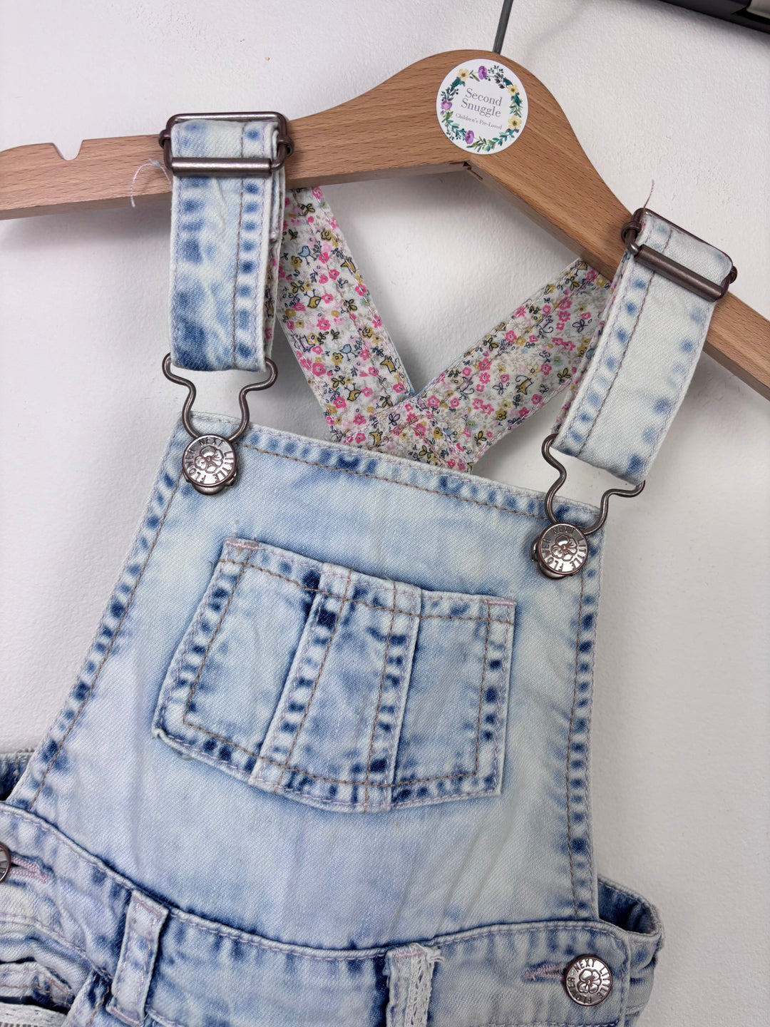 Next 12-18 Months-Dungarees-Second Snuggle Preloved